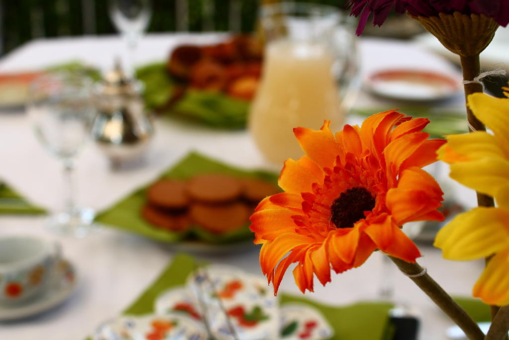 La Casa Della Musica Bed & Breakfast Ciampino Dış mekan fotoğraf
